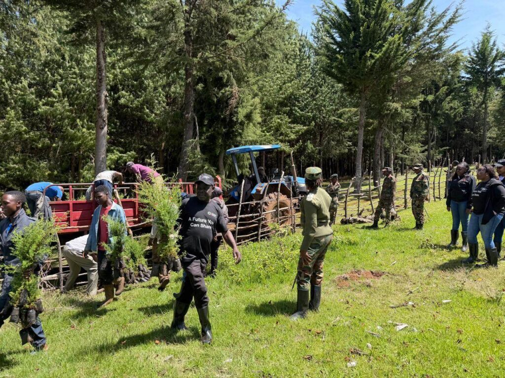 Privatization Authority tree planting activity in Sorget Forest 02