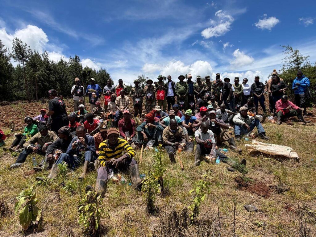 Privatization Authority tree planting activity in Sorget Forest 06