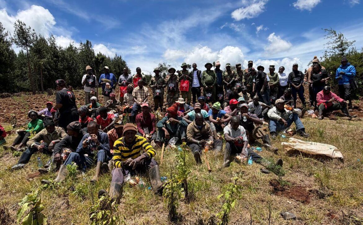 Privatization Authority tree planting activity in Sorget Forest 06