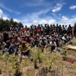 Privatization Authority Plants 100,000 Trees in Sorget Forest