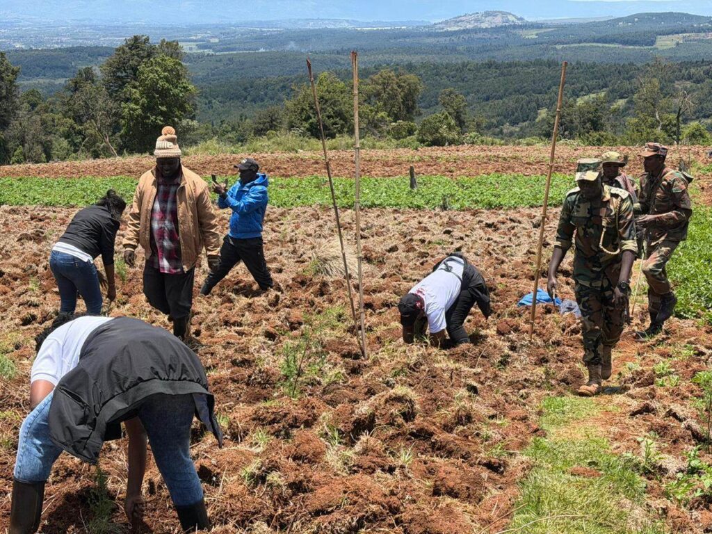 Privatization Authority tree planting activity in Sorget Forest 10