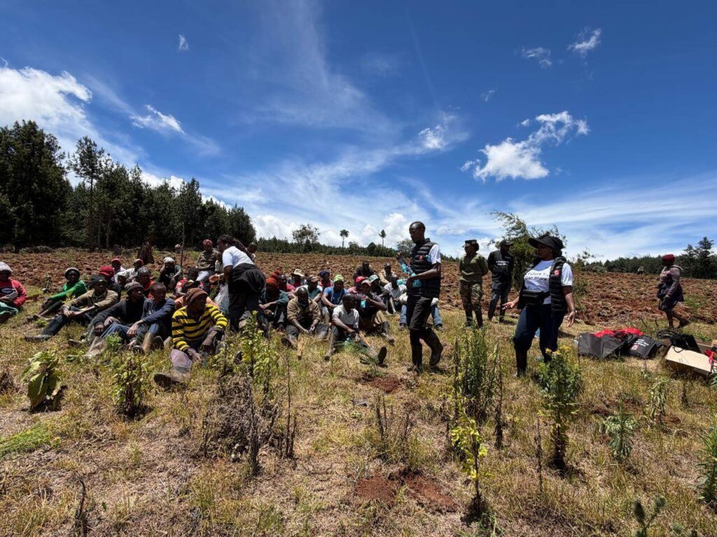 Privatization Authority tree planting activity in Sorget Forest 12