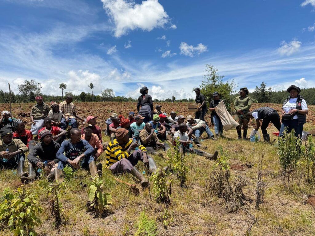 Privatization Authority tree planting activity in Sorget Forest 14