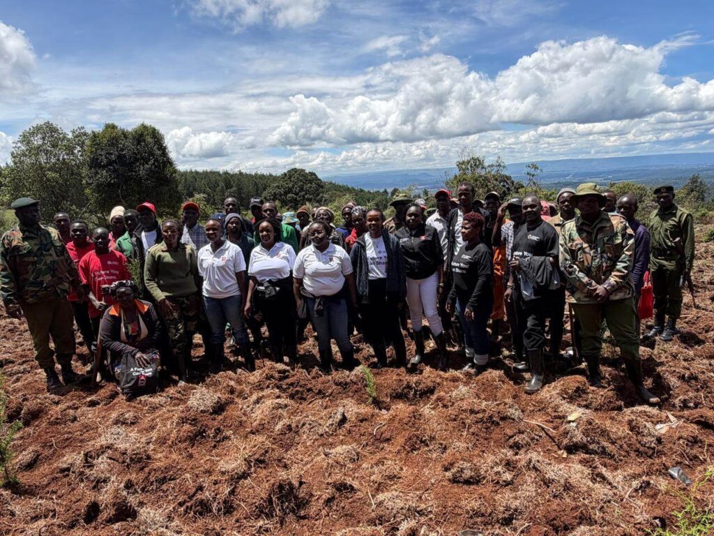 Privatization Authority tree planting activity in Sorget Forest 20