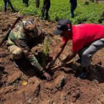 Tree Planting Initiative 03
