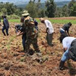Tree Planting Initiative 05