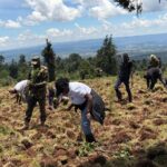 Tree Planting Initiative 07
