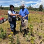 Tree Planting Initiative 13