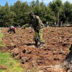 Tree Planting Initiative 15