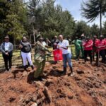 Tree Planting Initiative 25