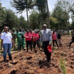 Tree Planting Initiative 27