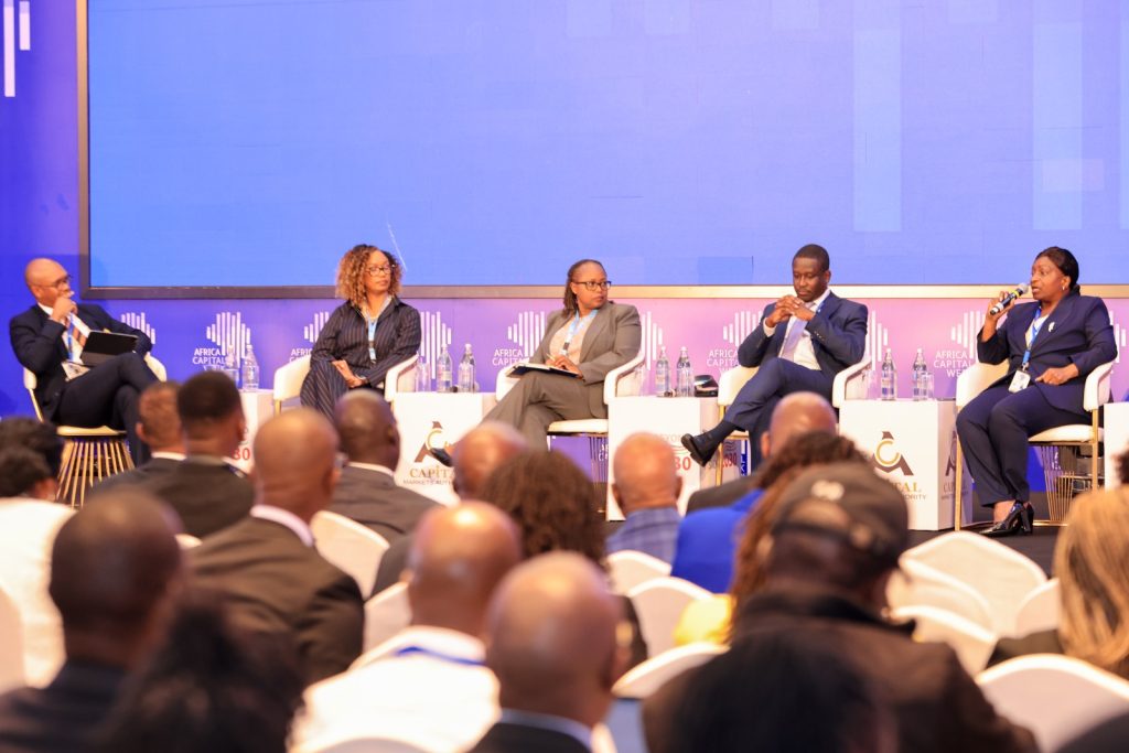 Panel at Africa Capital Week 2026